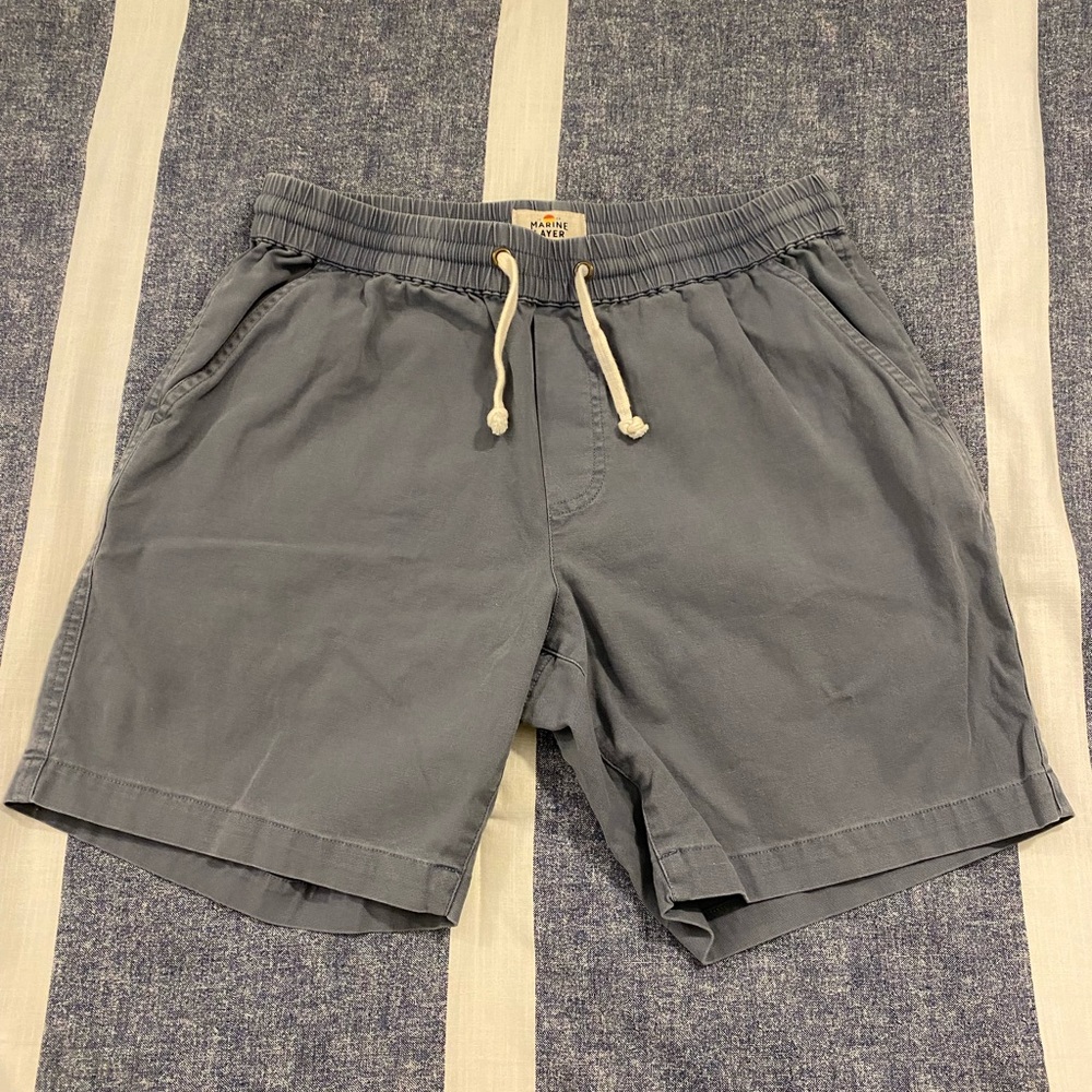 Marine Layer Saturday Short